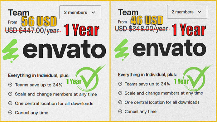 Envato Team 🔥  2/3  Members ✅ 1 Year  ✅ - subscription